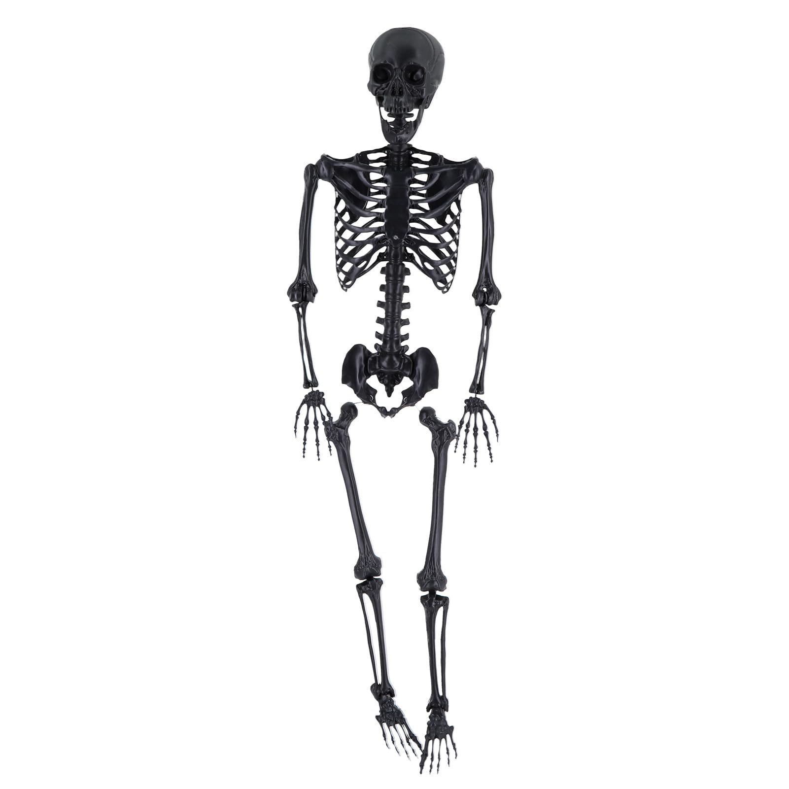 Scheletro di Halloween a grandezza Naturale, Scheletro Gigante di 1,65 m, Decorazione a Forma di Scheletro per Feste e Bar, Decorazione a Forma di Scheletro Nero per Halloween con