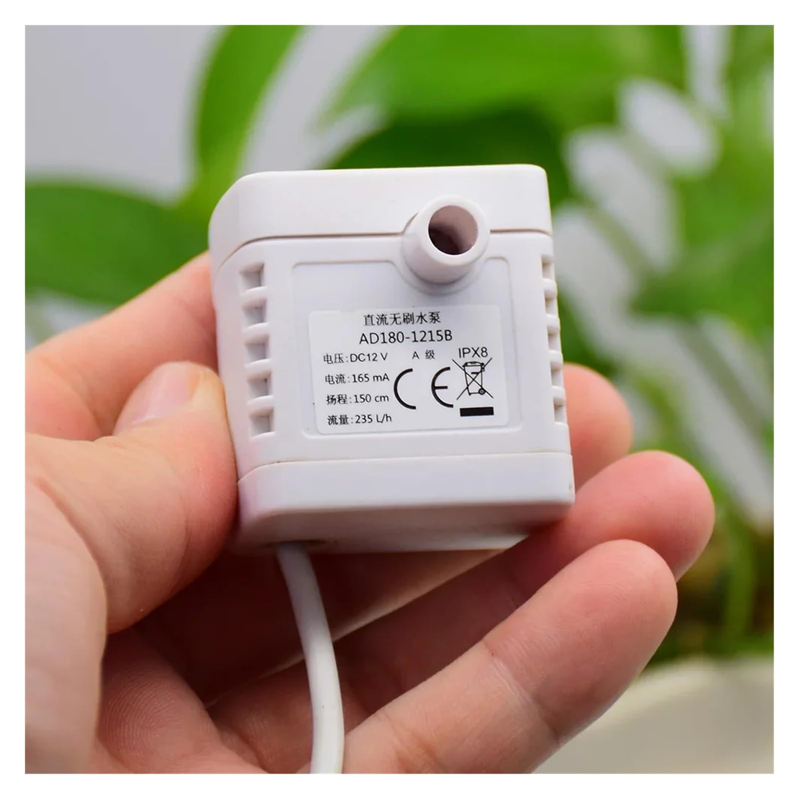 FFYTRGQWU Brushless Water Pump Submersible DC 12V Large Flow Circulating for Fish Tank Rockery Dispenser