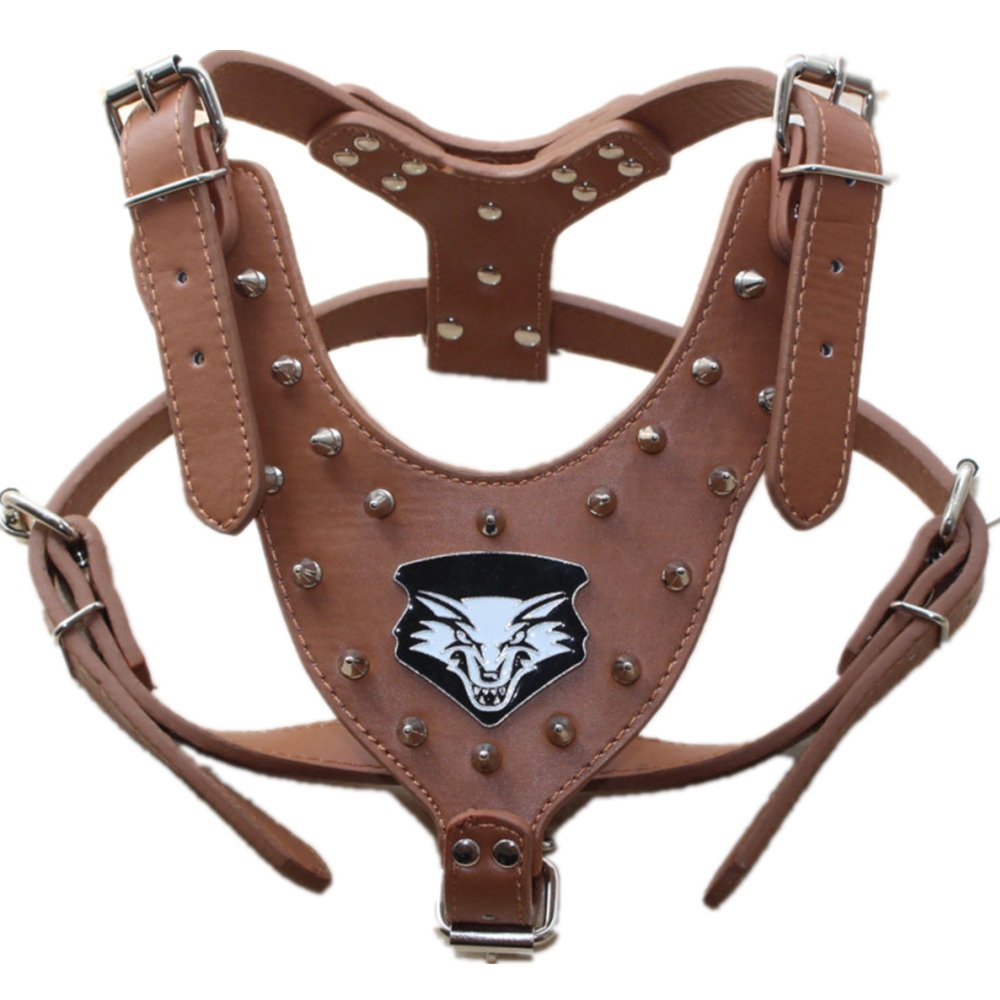 Hundegeschirr aus Leder, Halsband und Leine, mit Nieten, 3-teiliges Set für mittelgroße und große Hunde z. B. Pitbull, Mastiff, Boxer, Bullterrier, 3er-Set, Größe XL, braun