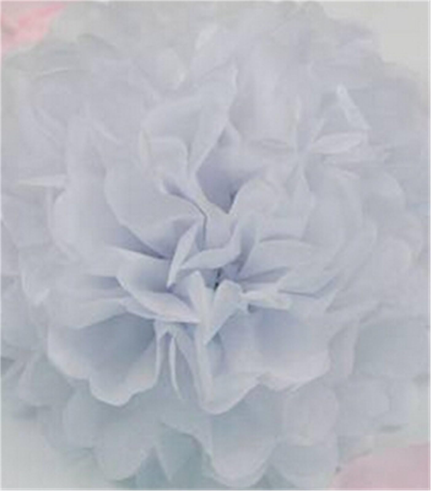Paper Pom Poms 1pcs 4inch (10cm) Pompon Tissue Paper Pom Poms Flower Balls Home Decoration Party Supplies Wedding Balls(Color1)