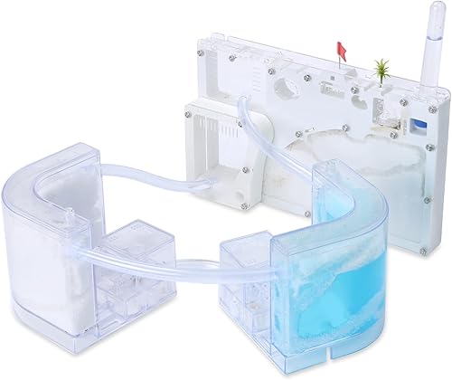 Miniatura 7 de NAVAdeal Sand Ant Farm Castle 2023 Habitat Kit educativo y de aprendizaje de ciencia de juguete para niños y adultos, estudio del ecosistema,