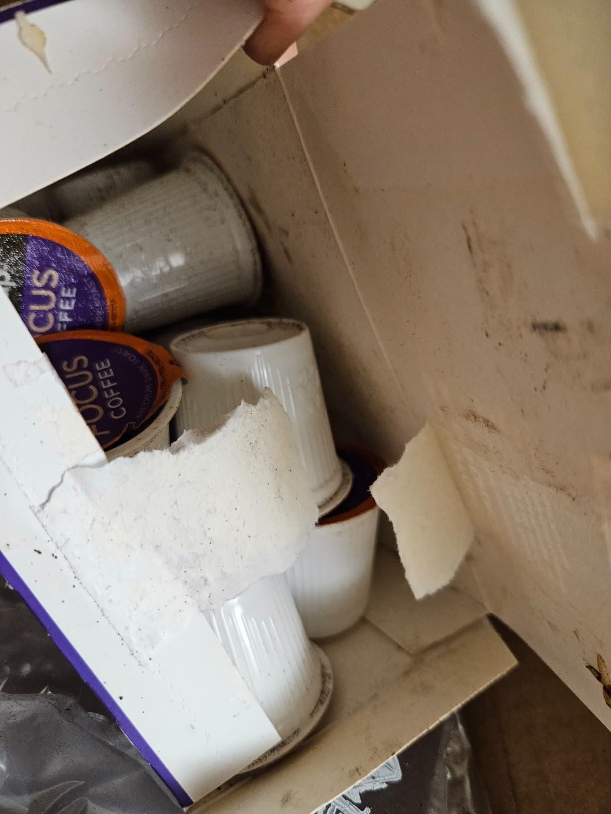VitaCup Mushroom Coffee brewing in Keurig