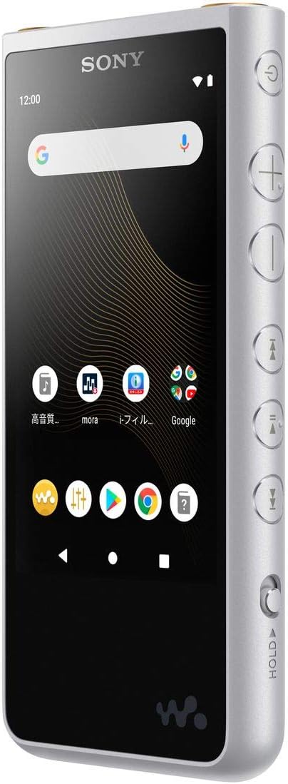 Sony NW-ZX507 Walkman 64GB ZX Series NW-ZX507: High Chile | Ubuy