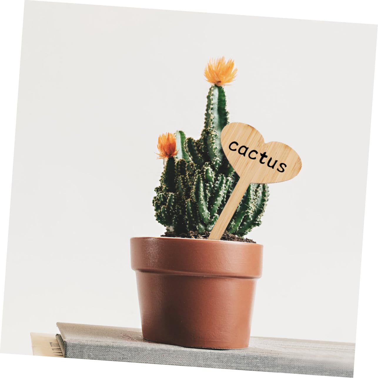 Yardenfun 20 Pcs Plaque Ornaments Vegetables Thicken Garden Signs Garden Supplies Garden Labels Flower Pot Decorations Flowers Decor Outdoor Decor DIY Sign Post Fence The Fence Plant