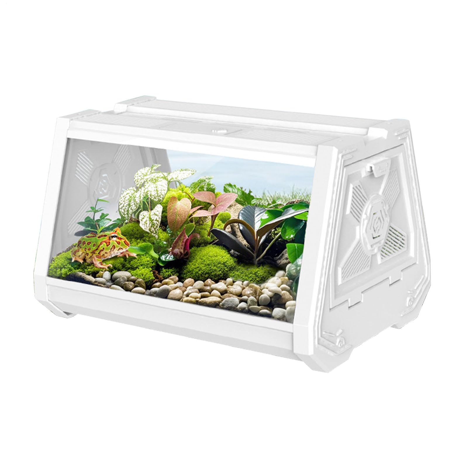 Terrario Per Rettili Vasca per Animali Esotici | Recinto con Ventilazione, Alimentazione e Habitat Portatile Anti-Fuga per Ragni, , Lumache, Rane e Tartarughe