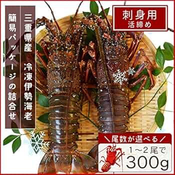 ❗️いち商品❗️冷凍伊勢海老❗️ 61BkgYECXnL._UF350,350_QL50_.jpg