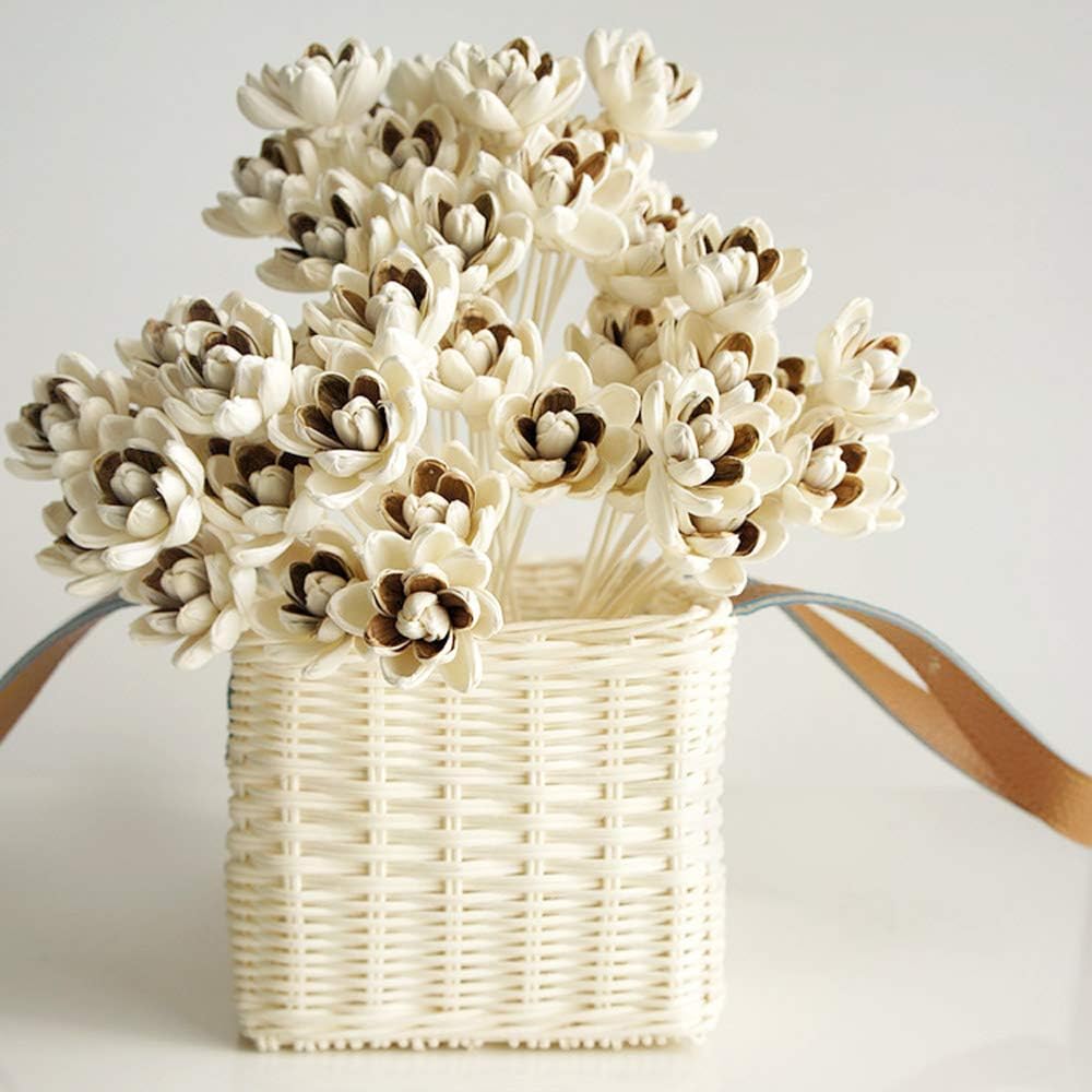 50 Magnolia 2 Tone Sola Flower Reed Diffuser for Aroma Home Fragrance by Plawanature