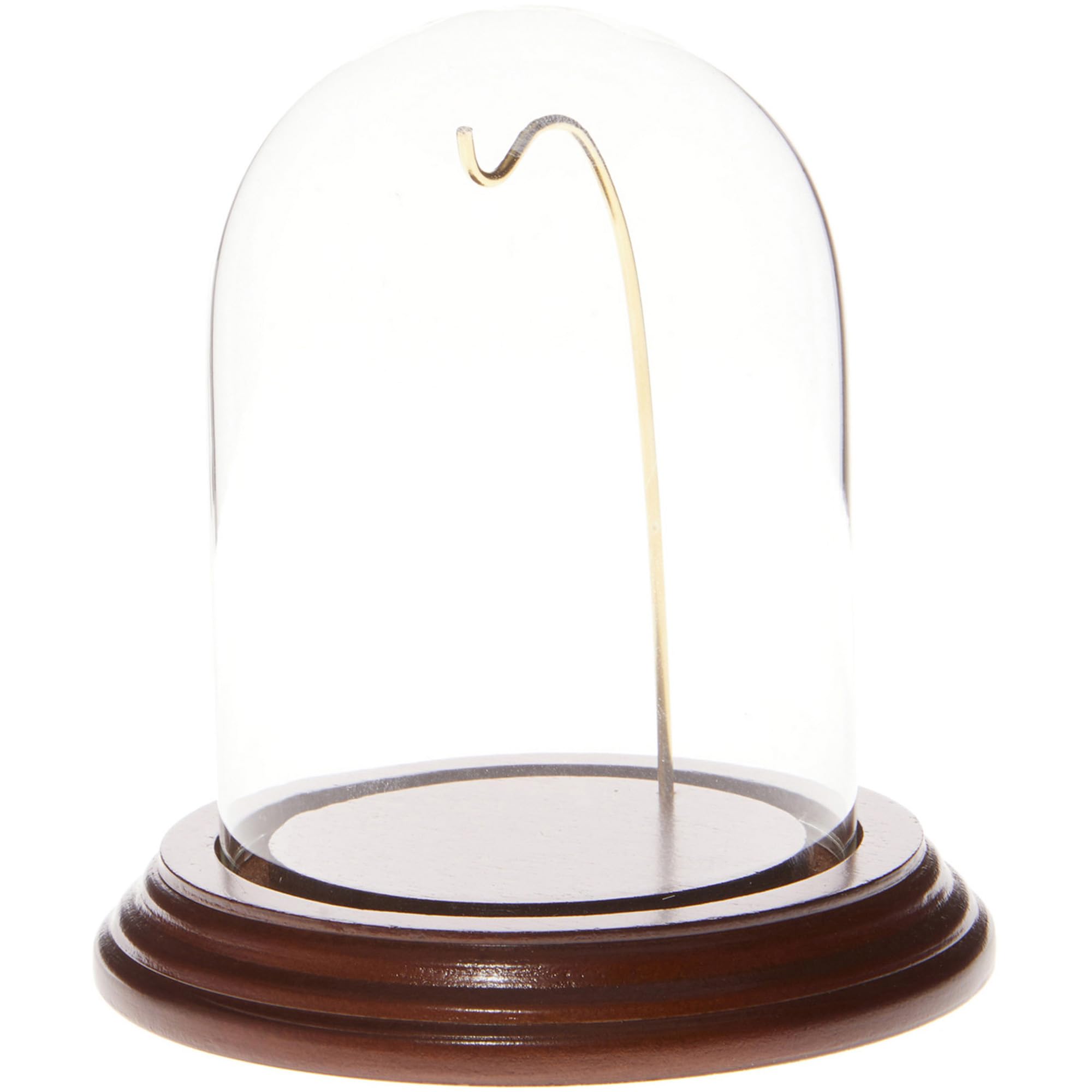 Plymor 3" x 4" Watch/Ornament Small Glass Display Dome Cloche (Walnut Veneer Base & Gold Wire)
