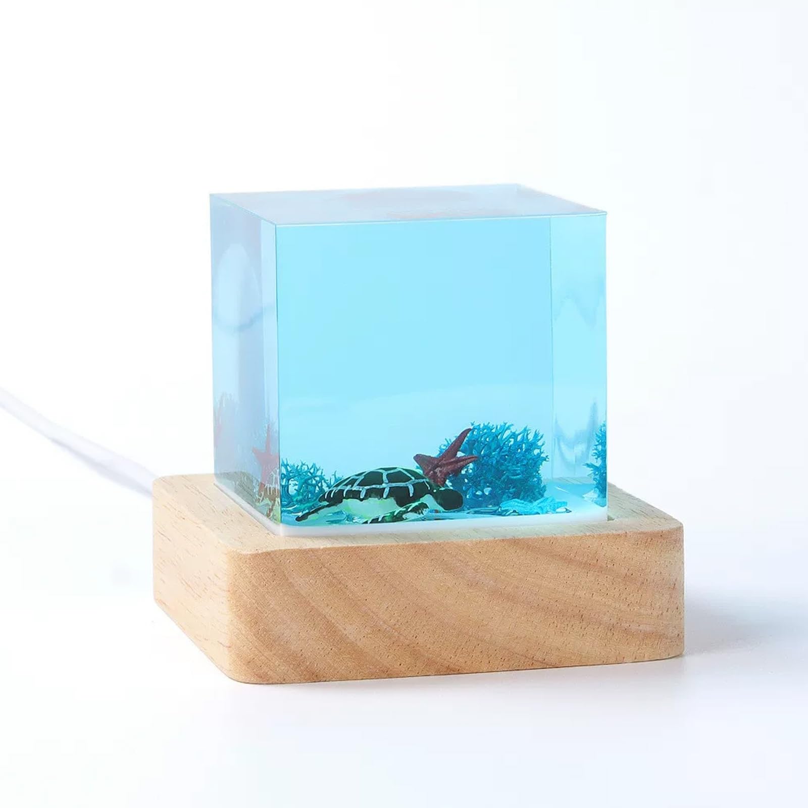 ATCKCALB Handmade Ocean Resin Lamp, 3D Underwater Marine Life Night Light with Wooden Base, Unique Gifts for Scuba Divers, Desktop Decor for Bedroom(A)