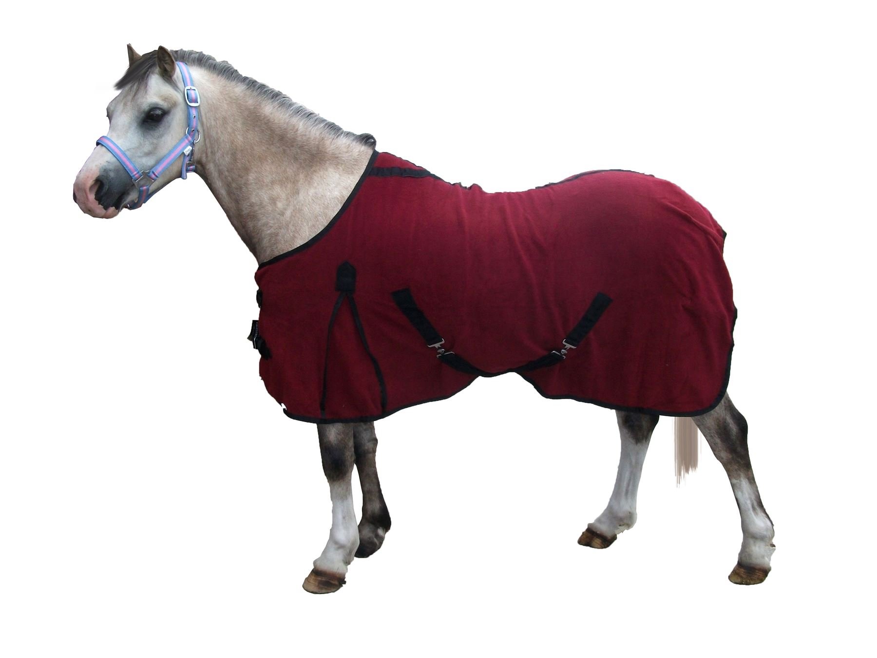ProTack See Description Fleece Rug: Port: 4ft 9inch, Clear, 4' 9"