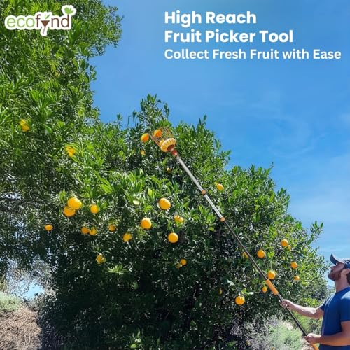 Image of ecofynd Fruit Picker Tool with Adjustable Pole Fixing Clamp, Metal Frame Basket for Mango, Apple, Lemon & Orange, Lightweight Fruit Harvester for Safe Fruit Picking from Trees, Garden & Farm (Orange)