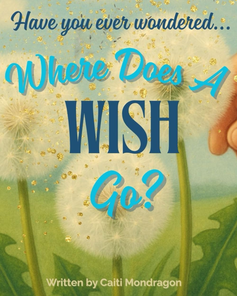 Where Does a Wish Go?