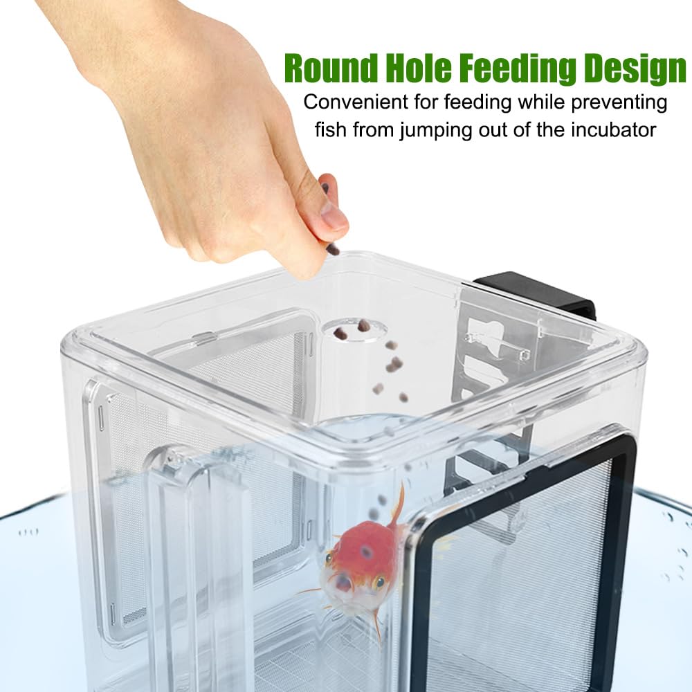MiOYOOW Fischzuchtbox, 15x15x15 cm Acryl Fisch Isolationsbox mit Hakenhalterung, Abnehmbar Aquarium Aufzuchtbecken für Jungfischen Garnelen Clownfische Guppys