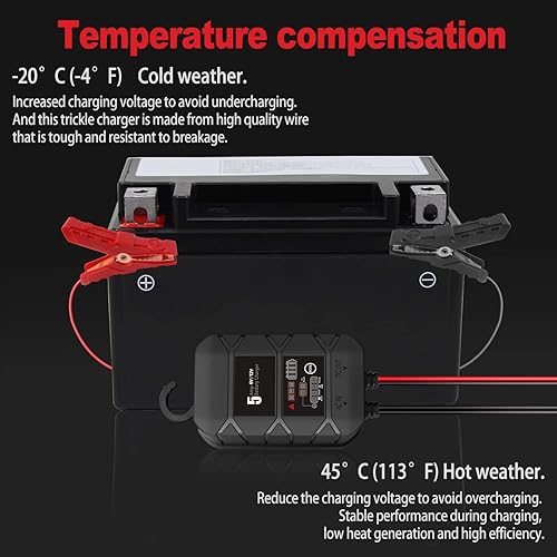 Miniatura 6 de BYGD Cargador de batería inteligente 5A  6 V12 V para automóvil, ciclo profundo y flotador, repara baterías y soporte de litio AGMLifepo4
