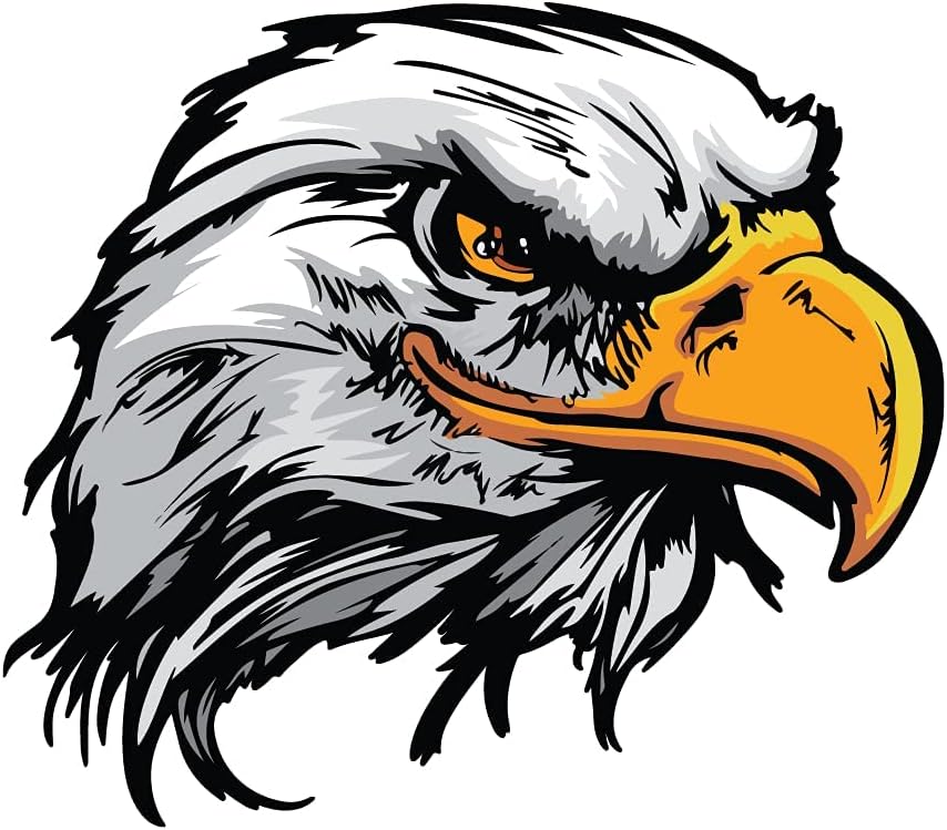 ISEE 360® Eagle Autographics Printed Car Stickers for Car Mirror 3D Exterior Sticker for Car Sides Hoods Bumper Rear Multicolored L X H 10 X 8.7 Cms Pack of 2