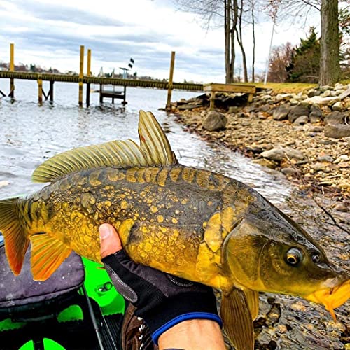 Bassdash Astro Heavy-Duty Sure Grip Fishing Gloves Men’s Women’s Fingerless Gloves For Game Fishing Kayaking Paddling Sailing Mtb #TOP5