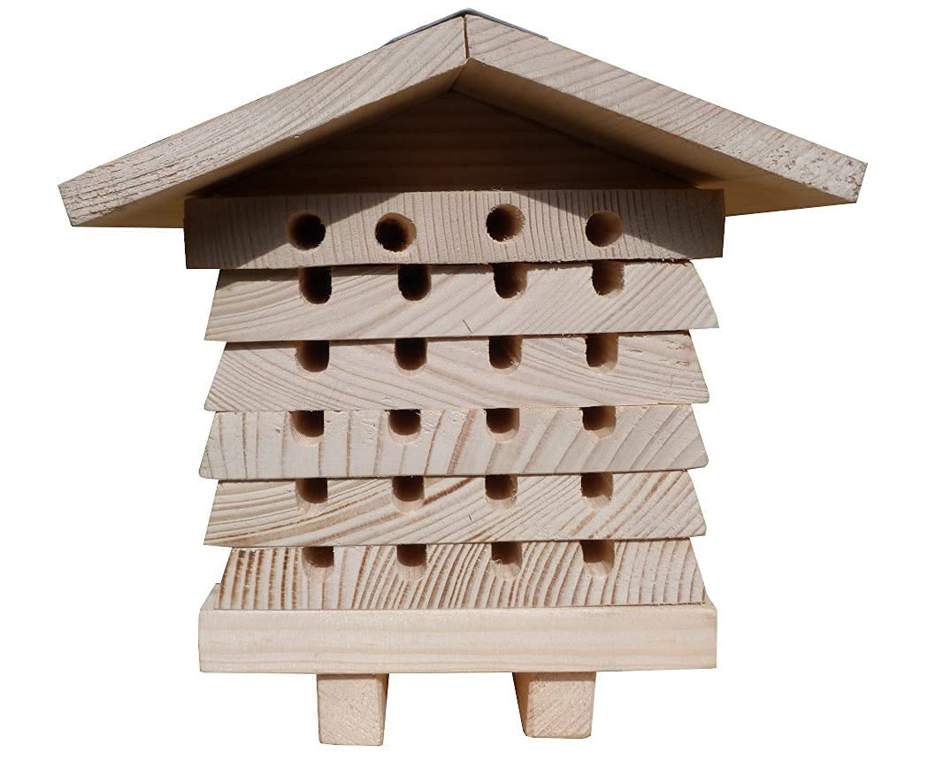 Hôtel en bois pour ruche d'abeille interactif