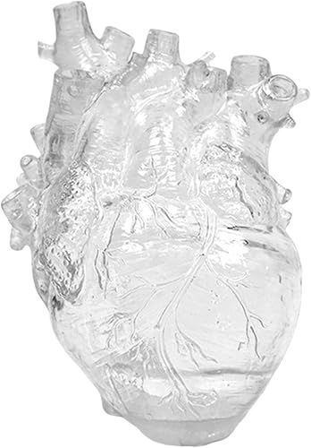 Jarrón de corazón anatómico decorativo de resina con forma de corazón para flores, florero decorativo en forma de corazón transparente para flores,
