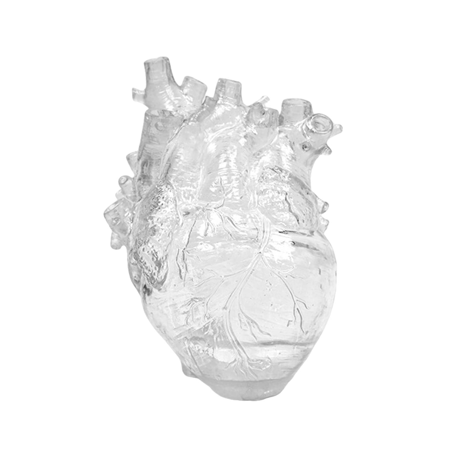 MANMAOHE Anatomical Heart Shaped Vase - Clear Resin Heart Sculpture - Creative Decorative Flower Vase for Home Decor, 5.12x3.54x6.69 Inch
