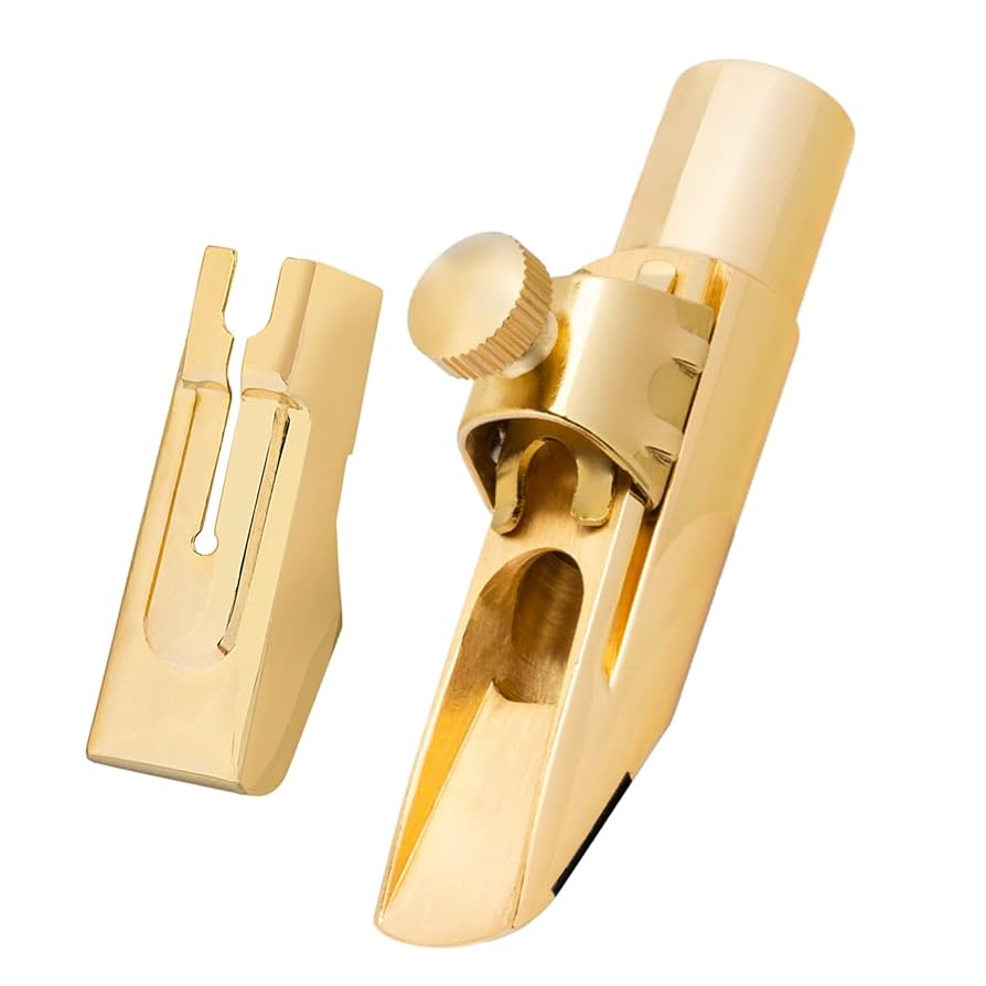 サックス 本体と付属品 Amazon.co.jp: サックスの部品 プロフェッショナル サックス