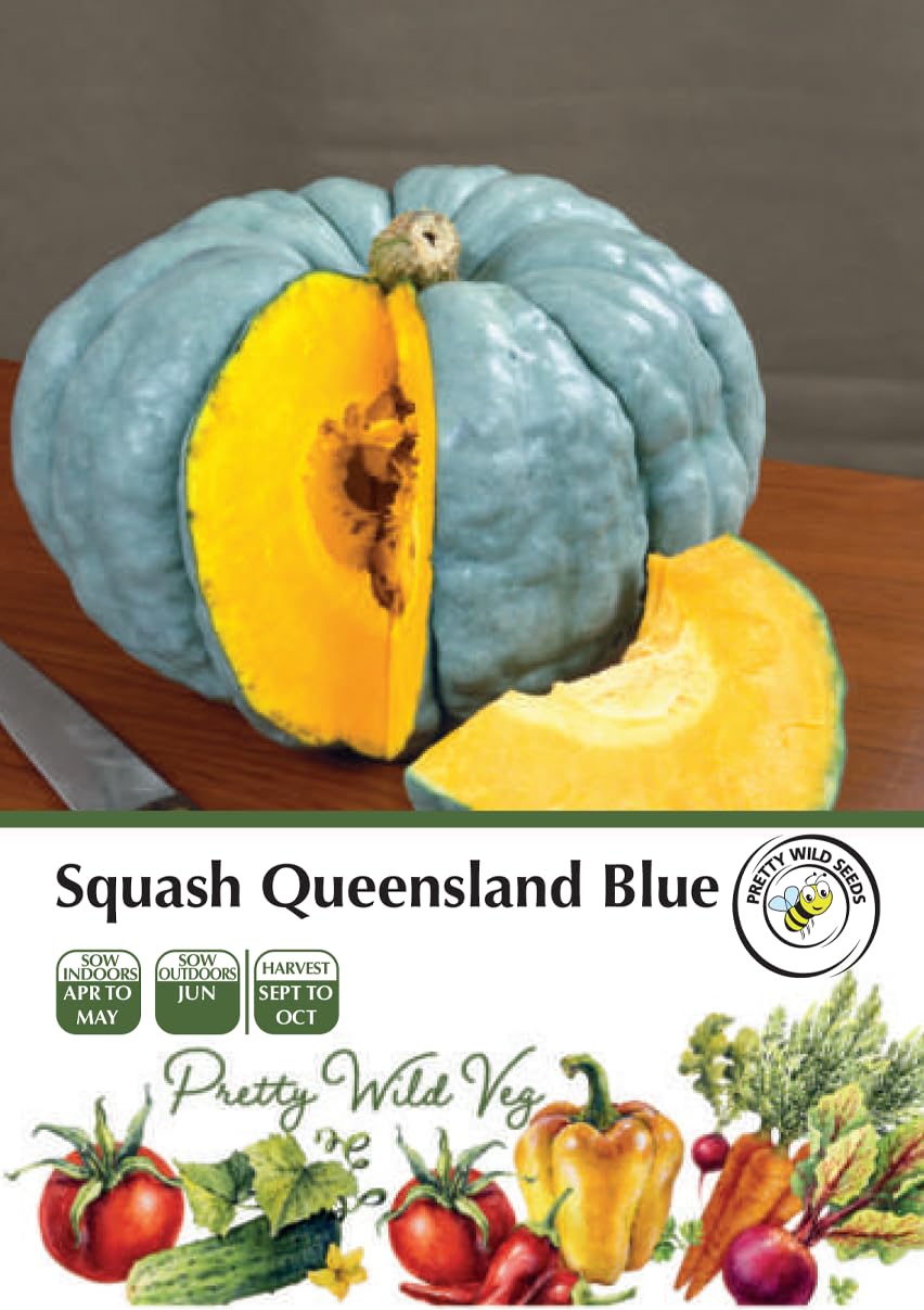 Cucumber Cucamelon Seeds in Pictorial Packet from a UK Seller Cute Fruits with Unique Crunch & Flavour — view 109