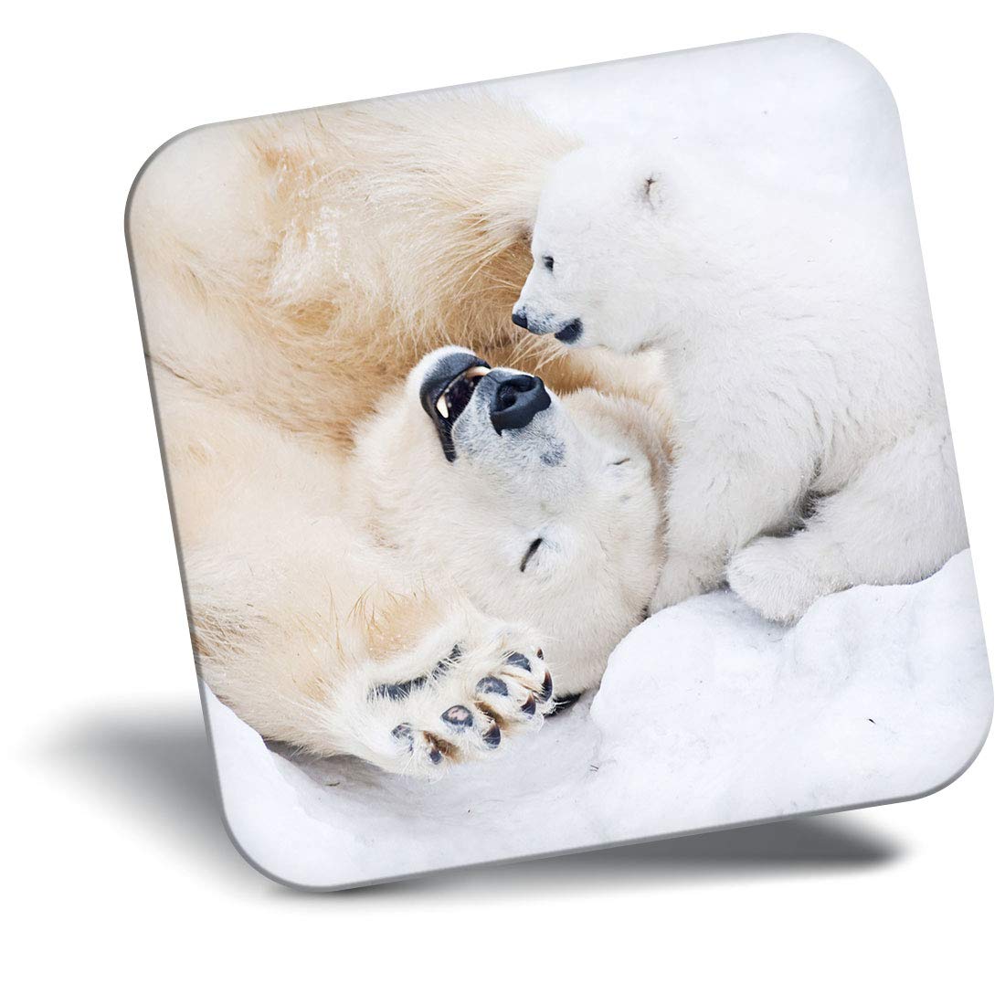 Destination Vinyl Ltd Fridge Magnet - Polar Bear Love Mother Cub 14261