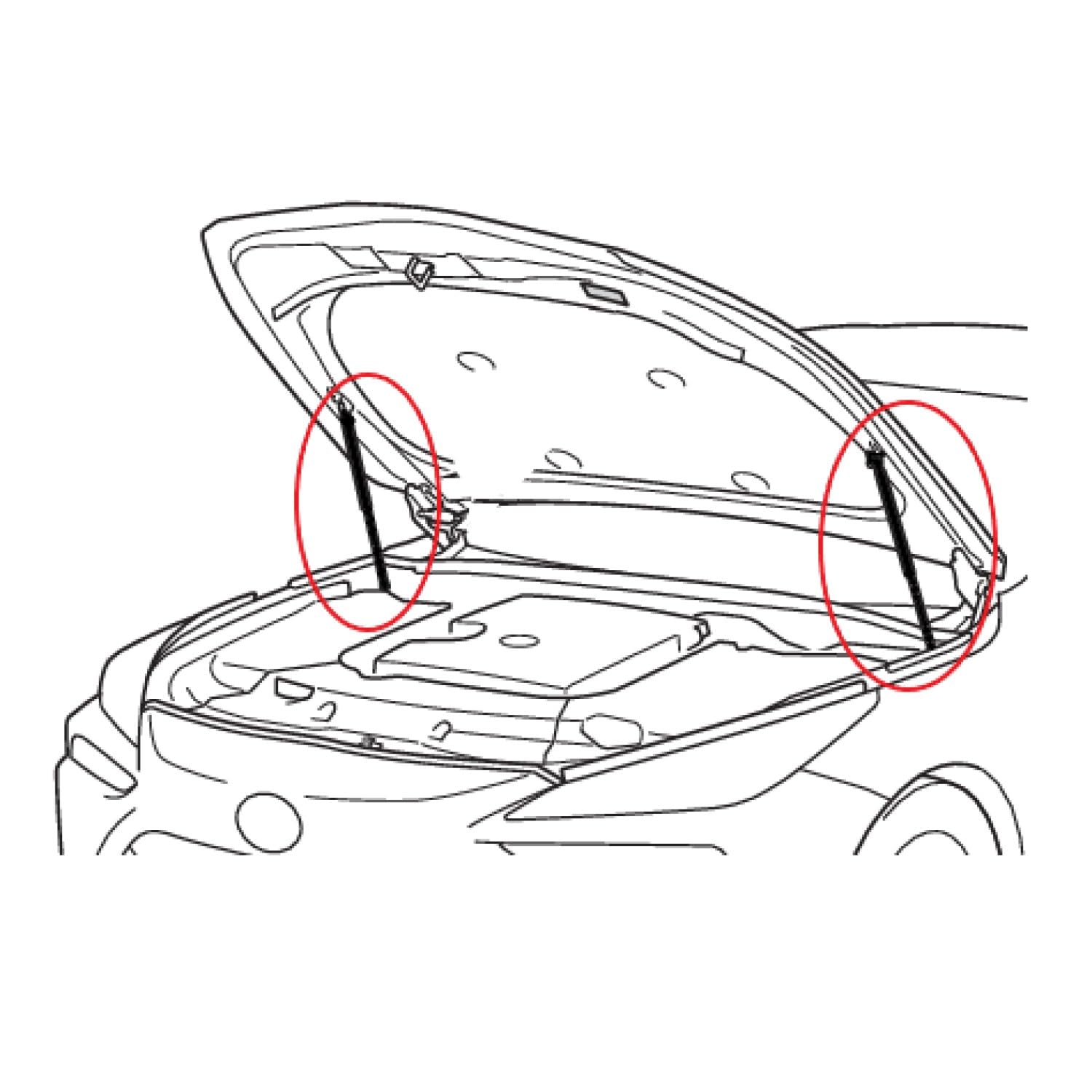 2 Vérins à Gaz de Capot Compatibles avec une BMW Série 5 E60 E61 2003-2010. Remplacement pour 51237008745