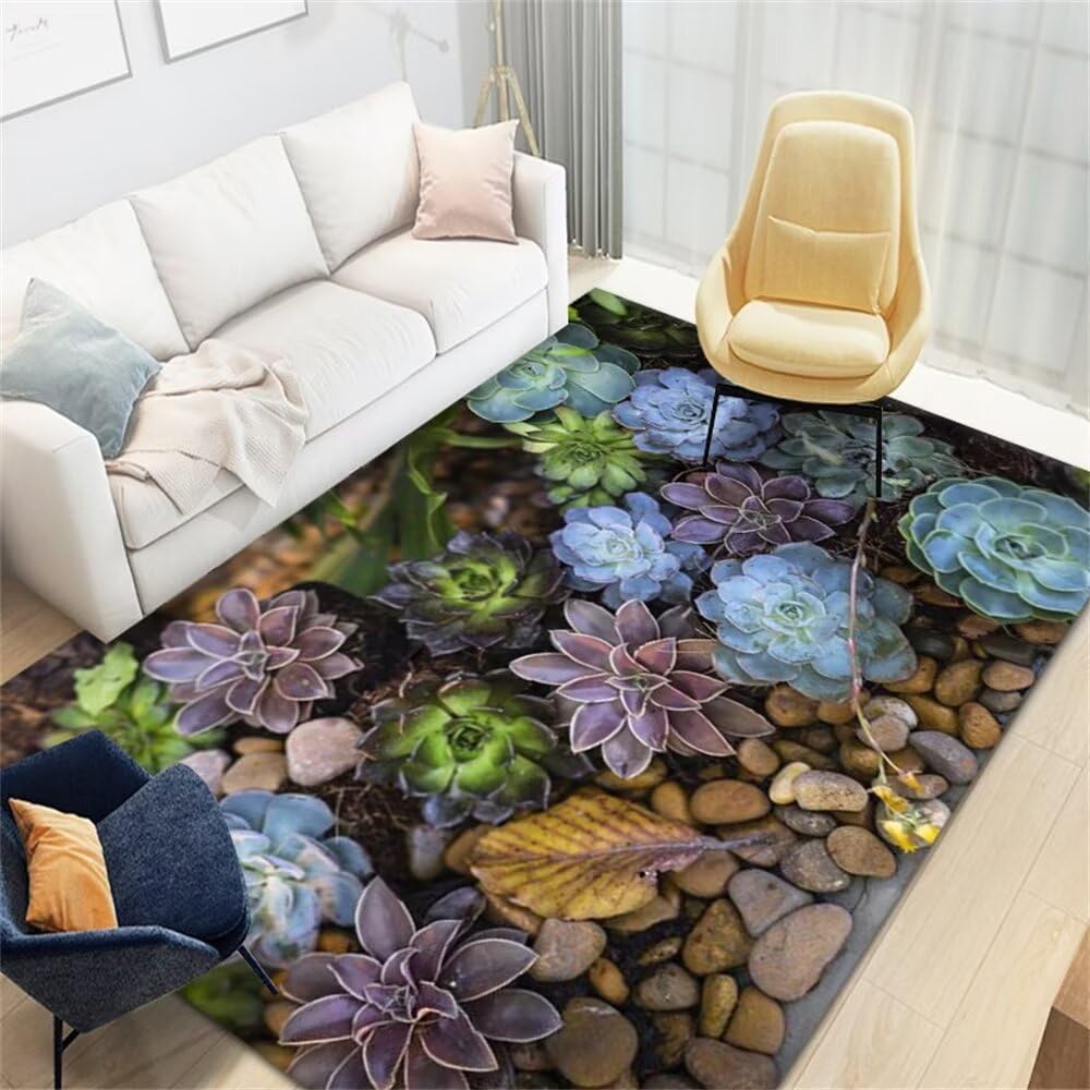 Tapis de salon pas cher moquette intérieure 120x240cm