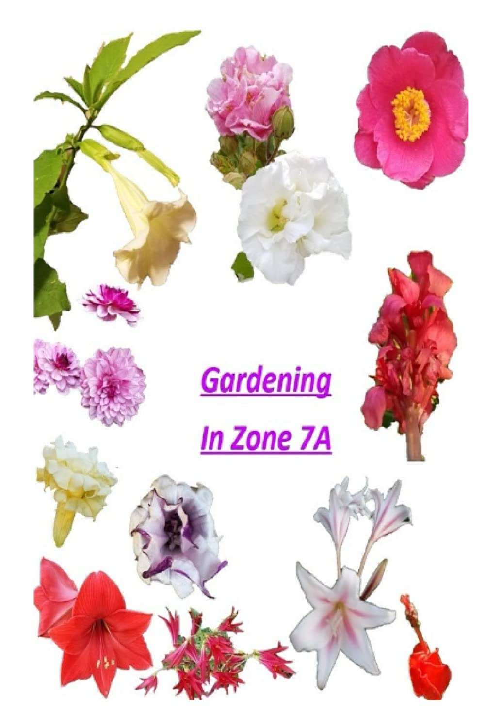 Gardening in Zone 7A