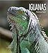 Iguanas (Living Wild)