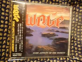 邦楽 WOLF/CD/Some Aspects of the Moment/ROLL WOLF/CD/Some Aspects of the Moment/ROLL
