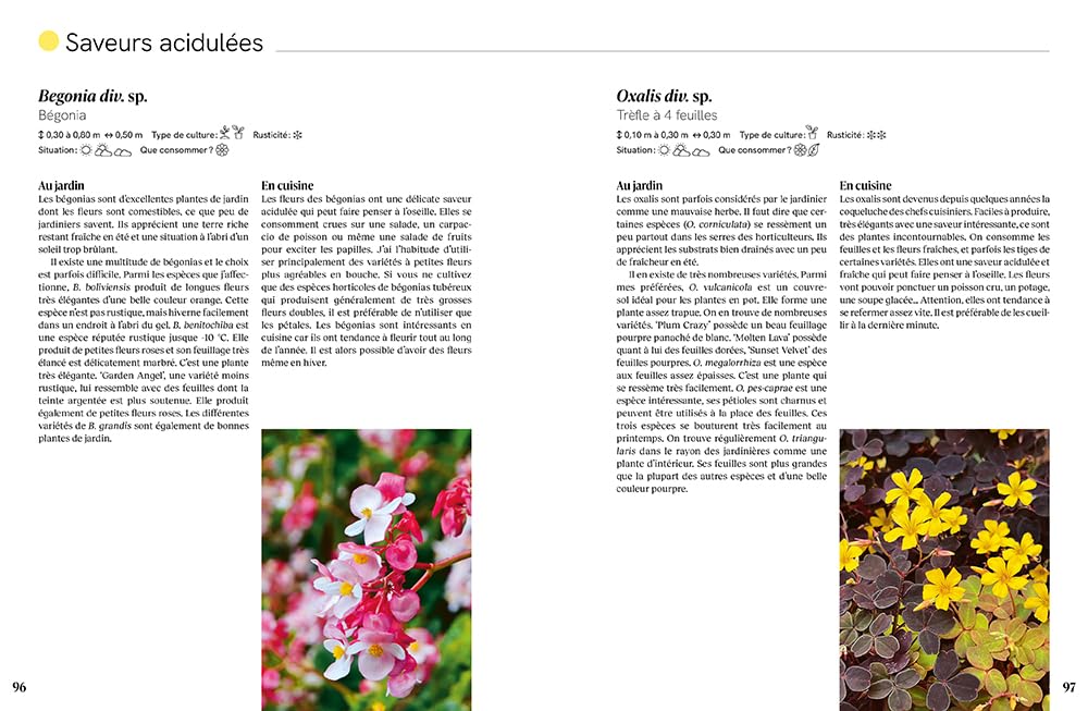 Toutes les saveurs du jardin - 22 saveurs à cultiver dans son jardin - 90 plantes comestibles - 32 recettes créatives