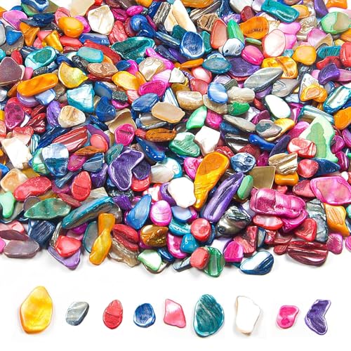 Cnwinu 500g Shells Mosaic Tiles Irregular Mosaic Tiles Arts and Crafts Mixed Color Mosaic Kit for Photo Frames Flower Pots Mirrors Vases Cups Kitchen Home Decoration DIY Art Projects