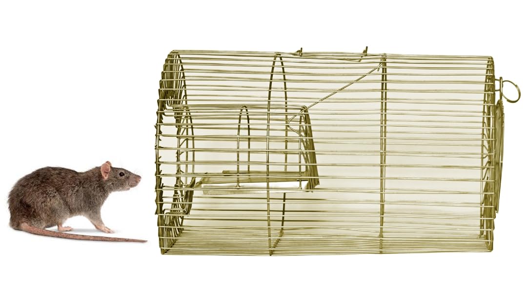 Rodent Control Cage, Round Metal Wire Cage for Rat and Mouse Trapping, Golden Green-image-49