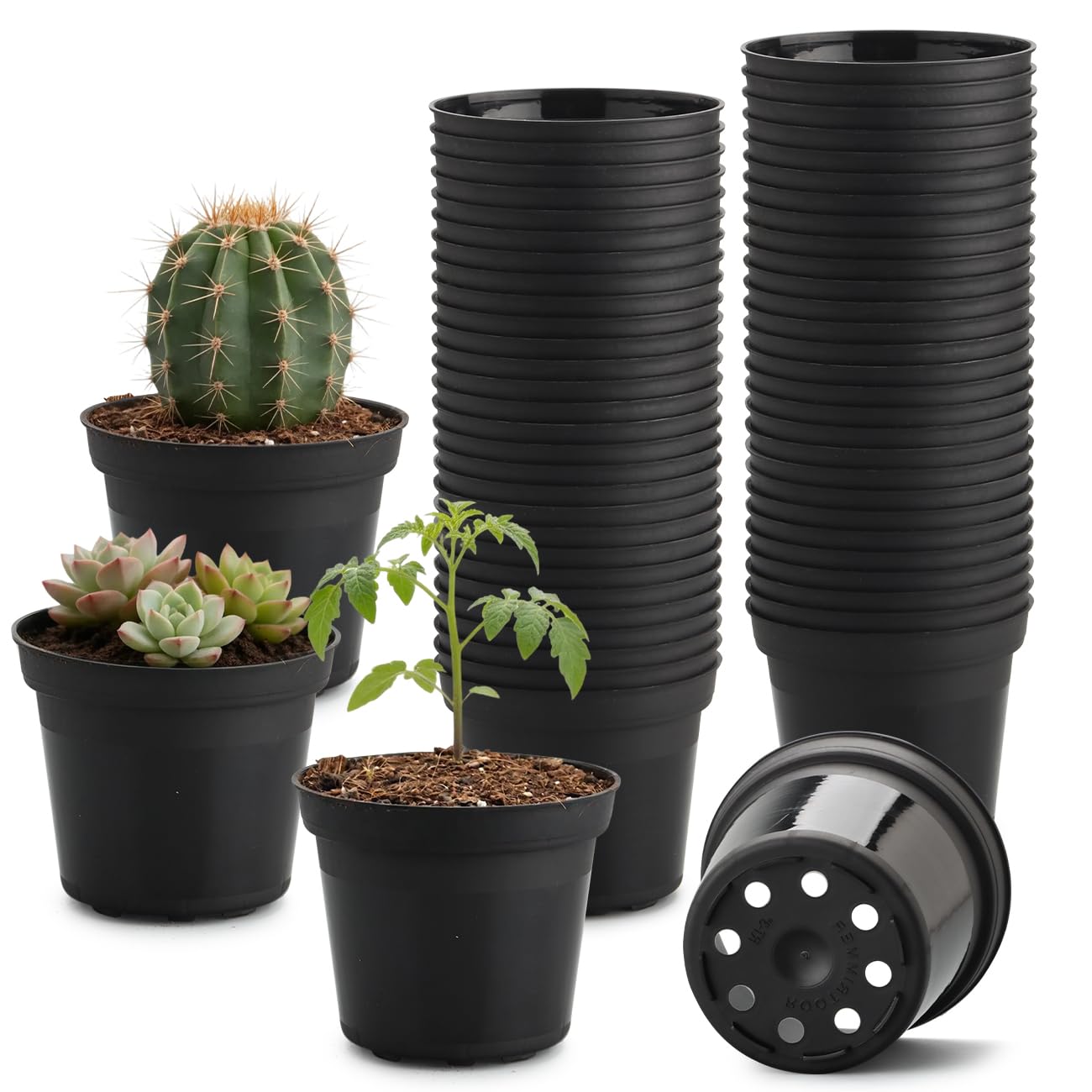 50 Pack 3 Inch Plastic Nursery Pots with Drainage and Raised Base