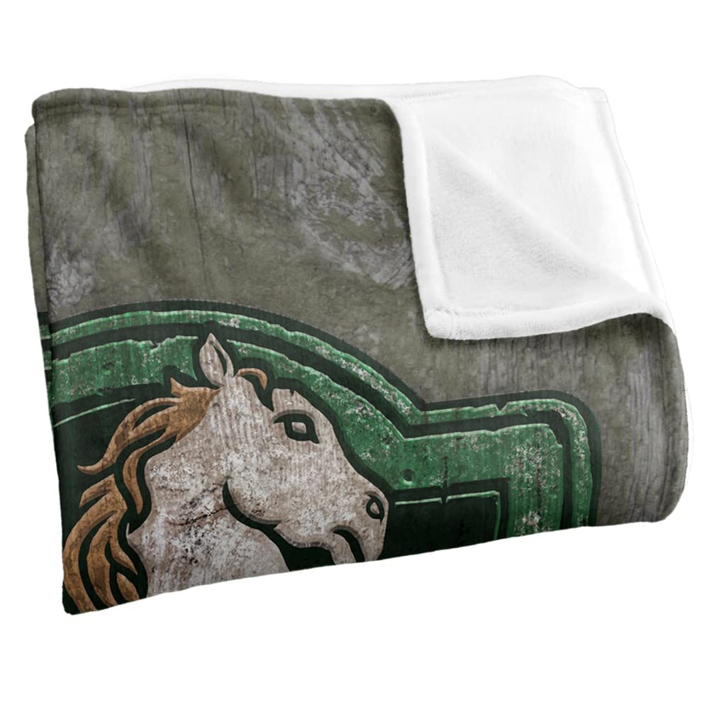 LOGOVISION The Lord Of The Rings Prancing Pony Sign Coperta super morbida al tatto setoso – 152 x 127 cm
