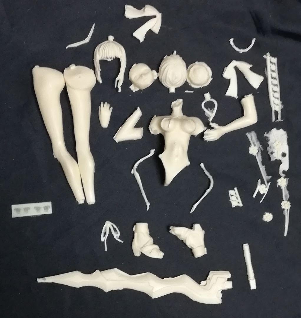 連続実験 Fate セイバー あかいいなずま 1/6 ガレージキット Amazon.co.jp: 連続実験 Fate Extra CCC セイバーあかいいなずま