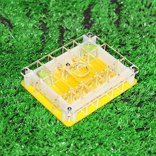 Jlxl Ant Tower Ant Farm, Acrylic Insect Villa Pet Mania House Nest Educational Formicarium As Birthday Valentine Present Gift (Color : A)