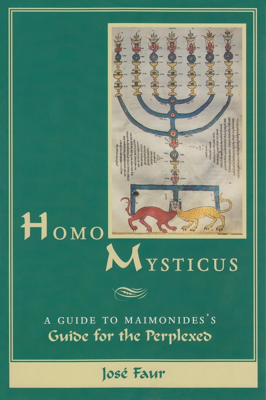 Buy Homo Mysticus: A Guide to Maimonides's Guide for the Perplexed — BookShops.in