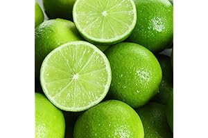 Persian Lime Tree: Ready-to-Plant Live Plant for Citrus Lovers