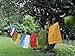 Handmade Large Cotton Medicine Buddha Prayer Flags in Tibetan with English Translation (9x12)