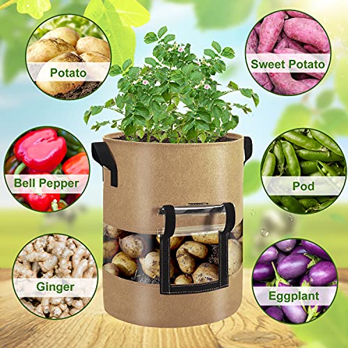 Visible Potato Grow Bags 10 Gallon with Flap 3-Pack,Potatoes Growing Containers with Handles&Visible Space, Heavy Duty Thickened Aeration Nonwoven Fabric Pots,alse for Tomato Strawberry