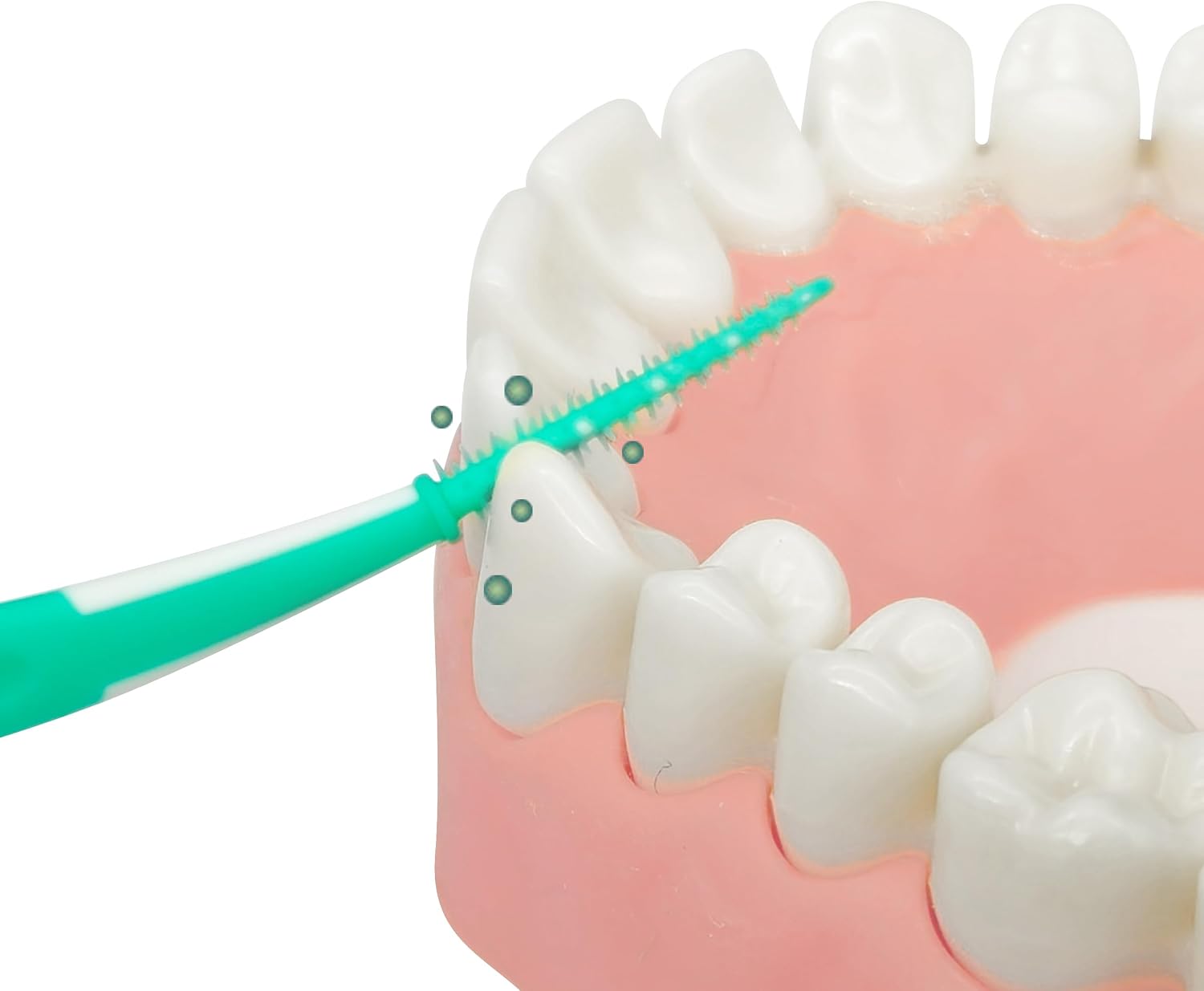 Interdental Brushes for Teeth Cleaning, Soft Silicone Dental Picks with Arc Curved Design, Gentle Toothpicks for Oral & Gum Care, Braces & Daily Cleaning (Green, 336 Pack)