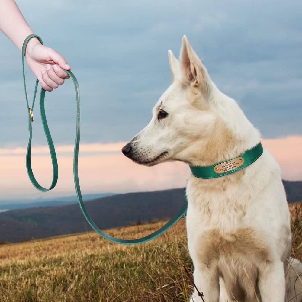 Collier personnalisé en Cuir pour Chien,Collier Personnalisé en Cuir,Cadeau Personnalisable,Collier réglable pour Animal de Compagnie pour Chiens de Petit Moyen Grand (Red Set,L)
