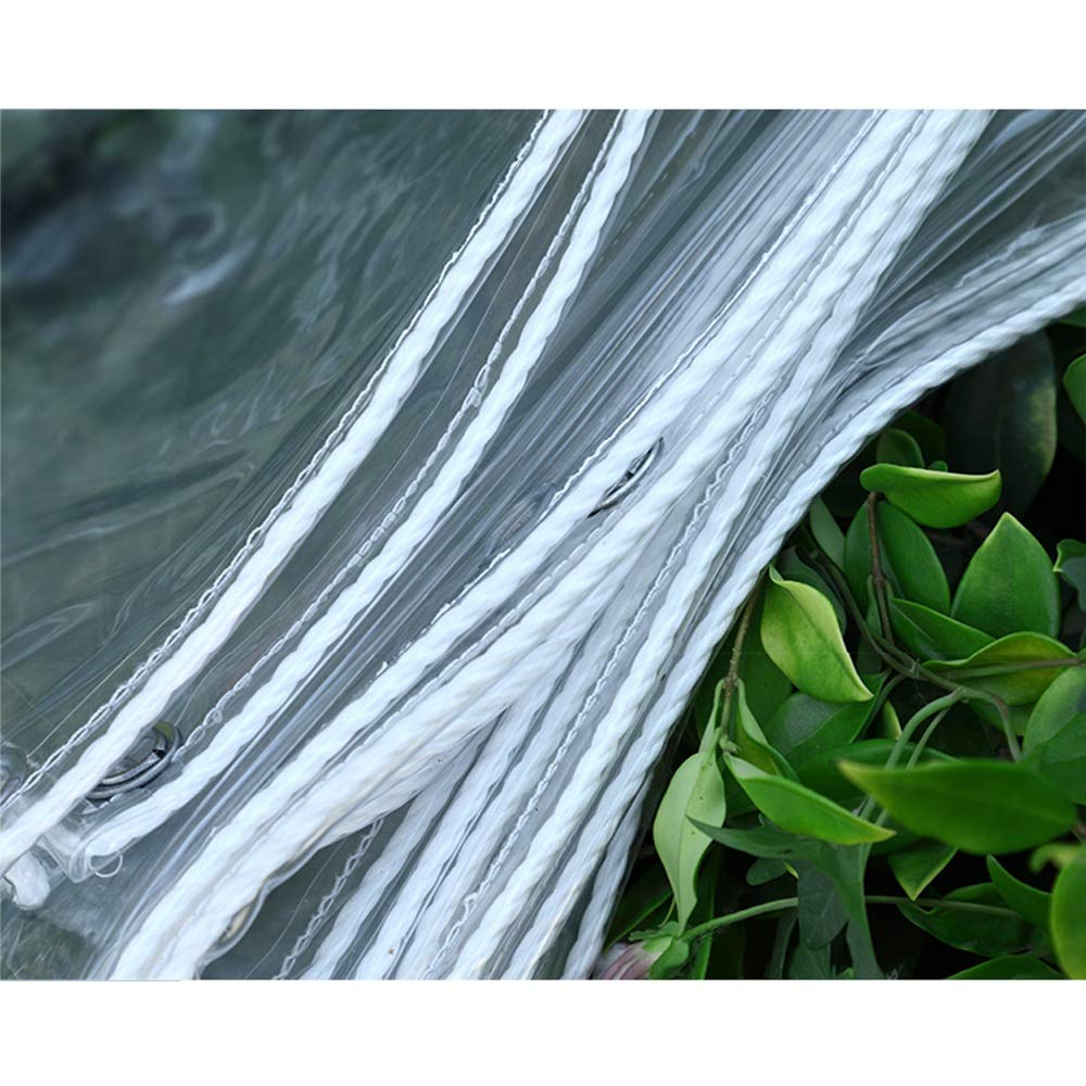 ZWPARTS Telone Trasparente Impermeabile, Copertura per Piante con Occhielli, per Protezione Antigelo, Esterno Inverno, Corda e 8 Palline Elastiche in Tela Cerata (2 x 3 m