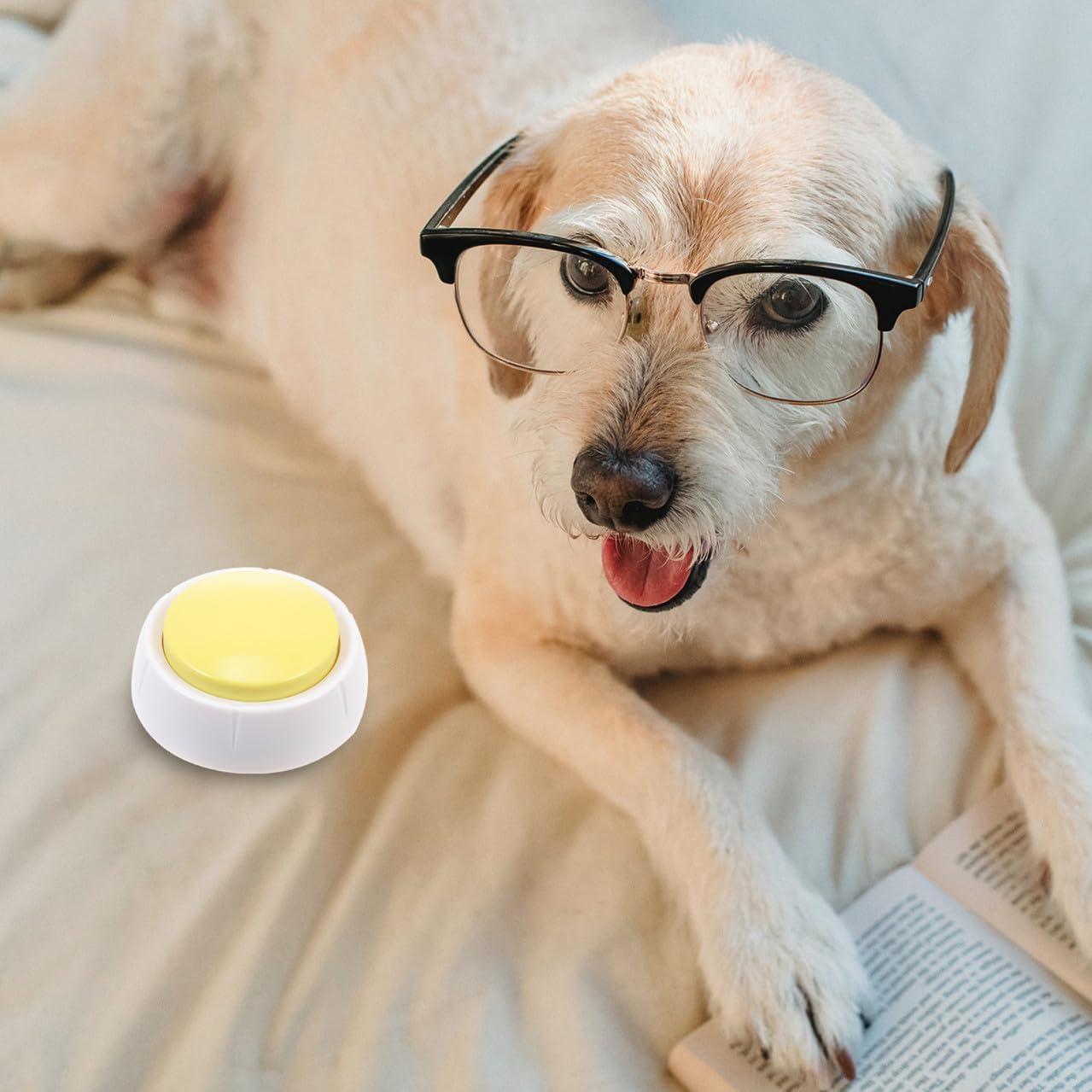 Abaodam Dog Recorder Button Pet Talking Button Recordable Communication Material for Training