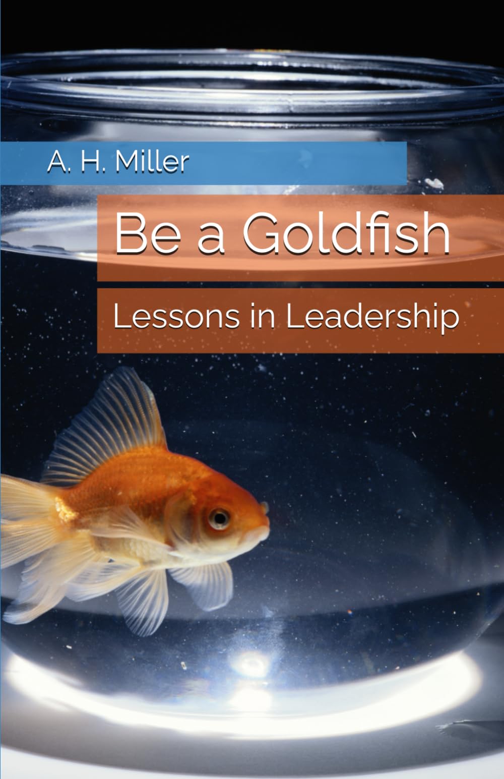 Be a Goldfish: Lessons in Leadership