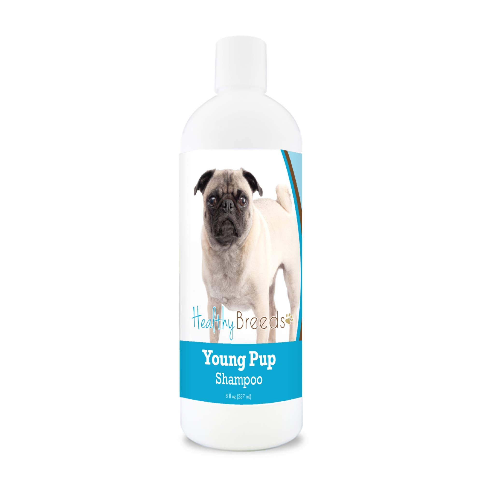 Healthy Breeds Pug Young Pup Shampoo 8 oz : Amazon.ca: Pet Supplies