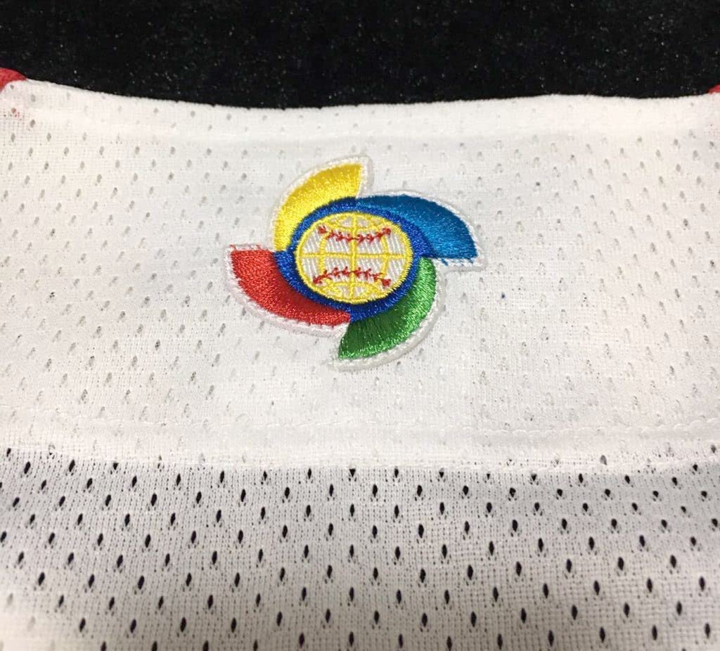 Amazon.co.jp: プロ野球 日本代表 侍ジャパン WBC 2009 ミズノ製 刺繍