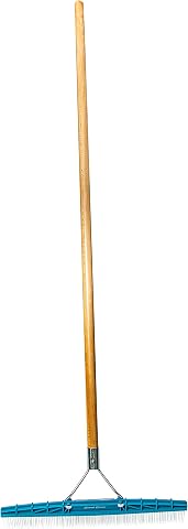 Grandi Groom AB24 Carpet Rake, 18-Inch Head, 54-Inch Handle, Blue